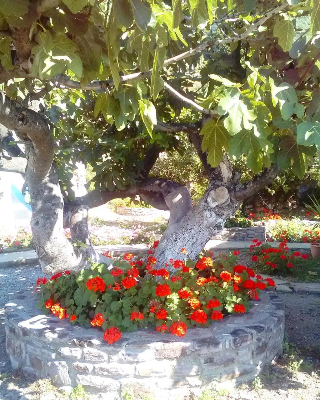 Enalion Apartments Agios Ioannis Kaspaka Eksteriør bilde