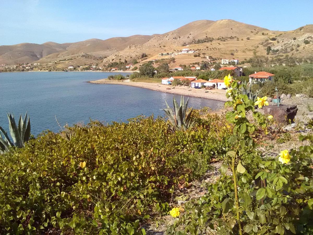 Enalion Apartments Agios Ioannis Kaspaka Eksteriør bilde